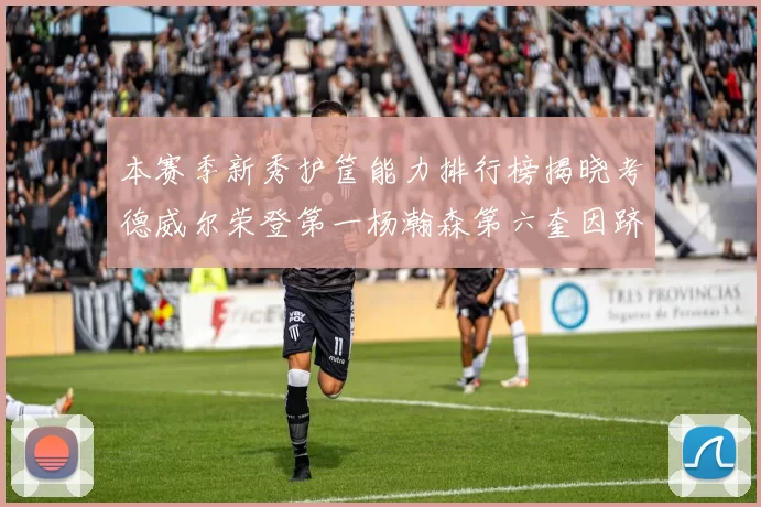 本赛季新秀护筐能力排行榜揭晓考德威尔荣登第一杨瀚森第六奎因跻身前十
